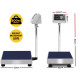 300KG Digital Electronic Platform Scale