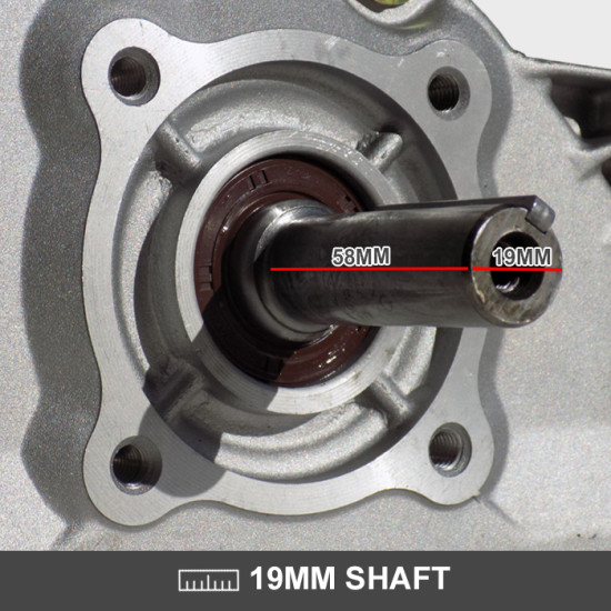 6.5HP Petrol Engine 4 Stroke with Recoil Start
